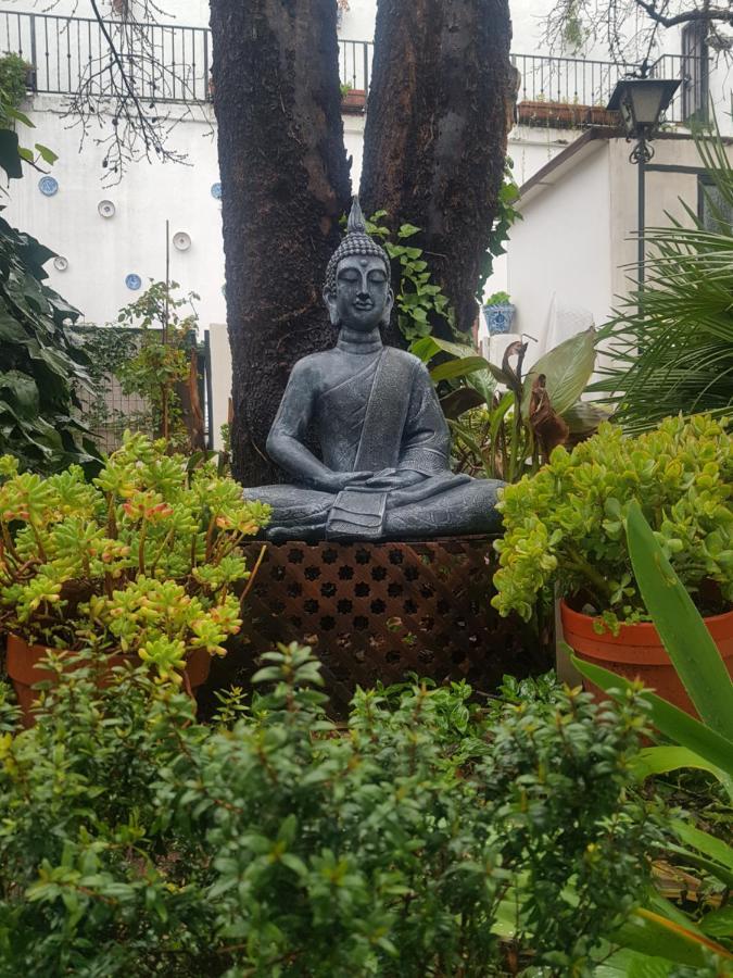 Mirador Del Zenete Bed & Breakfast Granada Ngoại thất bức ảnh