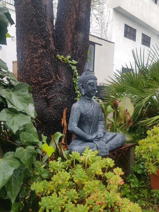 Mirador Del Zenete Bed & Breakfast Granada Ngoại thất bức ảnh